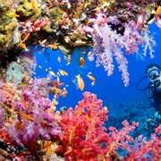 Tubbataha Reef, Palawan, Philippines