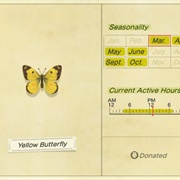 Yellow Butterfly