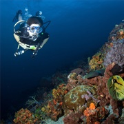 Diving in Trinidad and Tobago