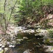 Chester-Blandford State Forest, Massachusetts