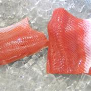 Pink Salmon
