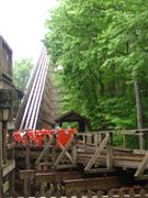 Grizzly (Kings Dominion)