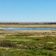 Maxwell National Wildlife Refuge
