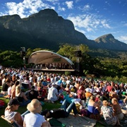 Attend a Summer Concert at Kirstenbosch