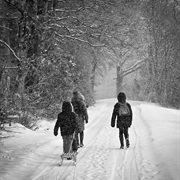 Walk in the Snow