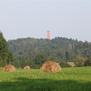 Gaiziņkalns (Highest Hill in Latvia)