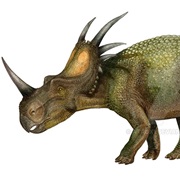 Styracosaurus