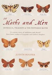 Of Moths and Men