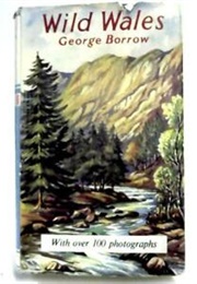 Wild Wales (George Borrow)
