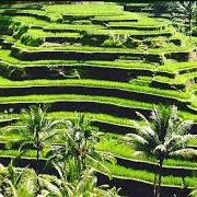 Cordillera Terraces, Philippines