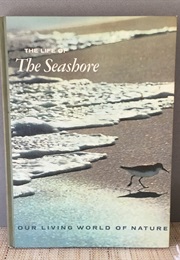 The Life of the Seashore (William H. Amos)