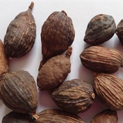 Cao Guo (Amomum Tsao-Ko)