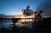 Hunter Wetlands National Park (NSW)