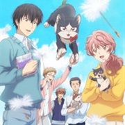 My Roommate Is a Cat