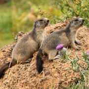 Monts D'Ardeche Regional Park, France