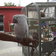 Gilcrease Nature Sanctuary