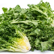 Curly Endive
