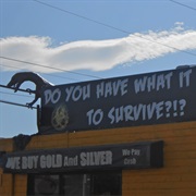 Zombie Apocalypse Store