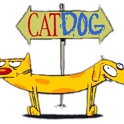 Cat Dog