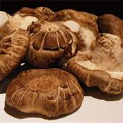 Shiitake Mushrooms