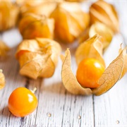 Ground Cherry
