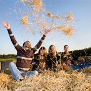 Hay Ride