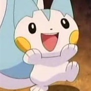 Pachirisu