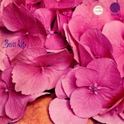 Still Life - Still Life
