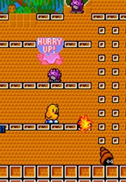 The New Zealand Story (1988)