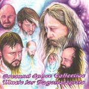 Øresund Space Collective - Music for Pogonologists