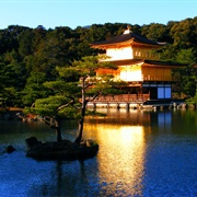 Visit Kinkaku-Ji