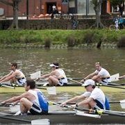 Compete in a Rowboat Race