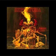 Desperate Cry - Sepultura