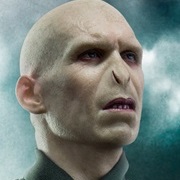 Lord Voldemort - Harry Potter Series
