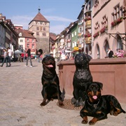 Rottweil, Germany