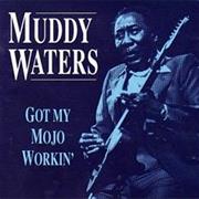 Got My Mojo Working - Muddy Waters