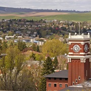 Pullman, Washington, USA