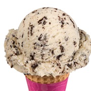 Baskin-Robbins Chocolate Chip Ice Cream