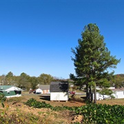 Iron City, Tennessee