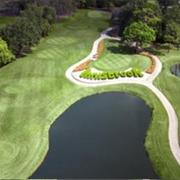 Innisbrook Resort (Copperhead) US