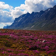 Auyuittuq National Park, NU