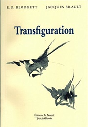 Transfiguration (E. D. Blodgett)