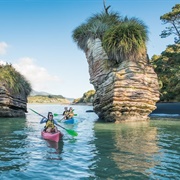 Waikato, New Zealand