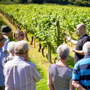 Attend a Vineyard Tour With My Dad