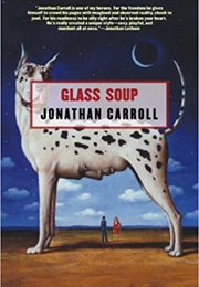 Glass Soup (Jonathan Carroll)