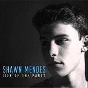 Life of the Party Shawn Mendes