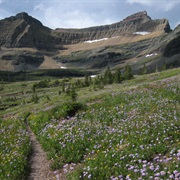 Pacific Northwest National Scenic Trail