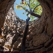 Forestiere Underground Gardens
