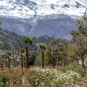 Huacaran National Park, Peru