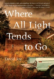 Where All the Light Tends to Go (David Joy)